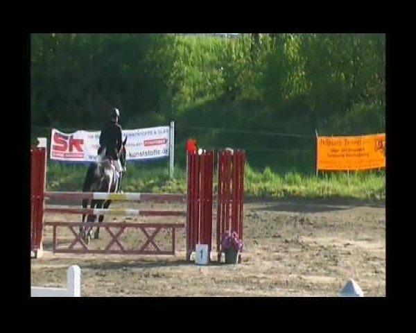 jumper El Dorado 76 (Hanoverian, 2003, from El Bundy)