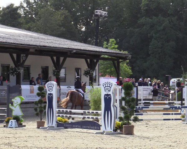 Reitturnier Solingen 2022