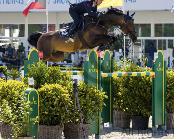 broodmare Nuance Bleue Vdm Z (Zangersheide riding horse, 2011, from Nabab de Rêve)