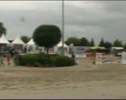 broodmare Florina (Westphalian, 2001, from Florestan I)
