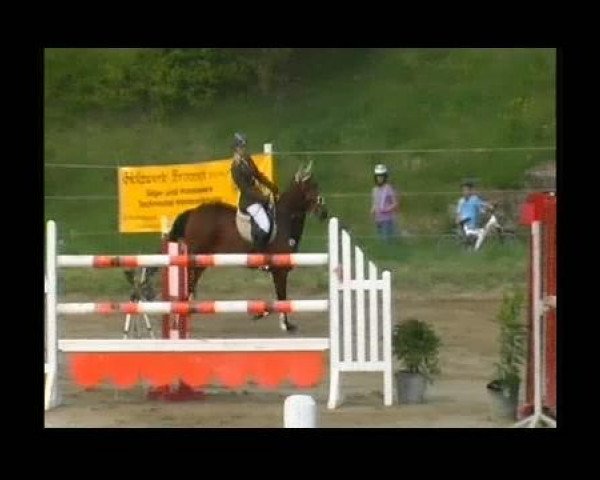jumper Ramiro's Chico (German Sport Horse, 2004, from Rudelsburg)