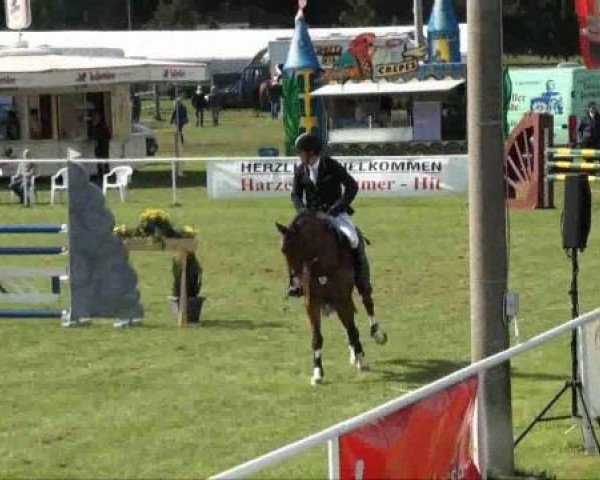 jumper Strolch (Hanoverian, 2005, from Silvio I)
