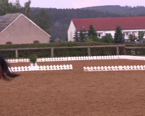 Reitturnier Lengenfeld/Vogtl. 2022