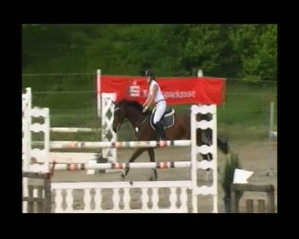 horse Leslie (Mecklenburg, 1999, from Loredo)