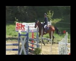 jumper Secento 2 (Oldenburg, 2006, from Samarant)