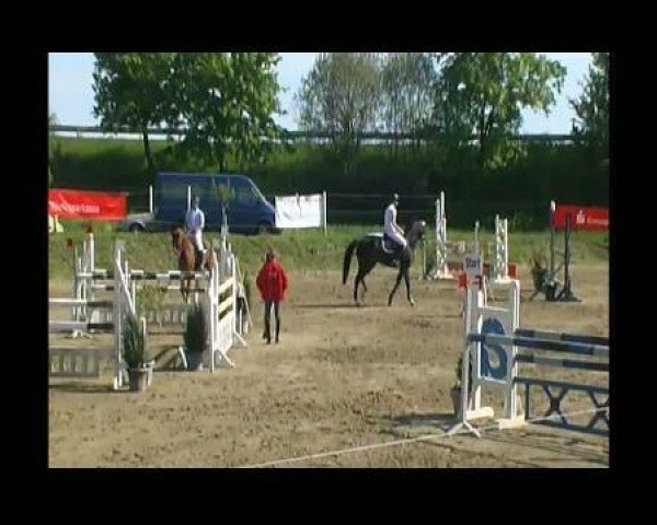 jumper Heralido (Württemberger, 2003, from Heraldik xx)