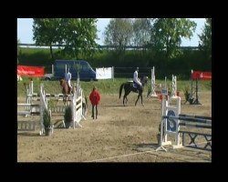 jumper Heralido (Württemberger, 2003, from Heraldik xx)