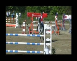 broodmare Caretina 28 (Holsteiner, 2003, from Caretino)