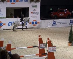 jumper Combole R (Oldenburg, 2001, from Contender)