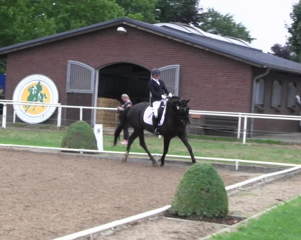 Reitturnier Münchehofe 2022