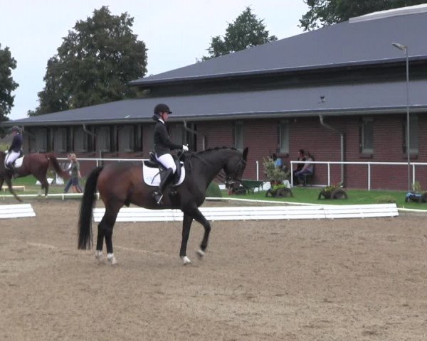 Reitturnier Münchehofe 2022