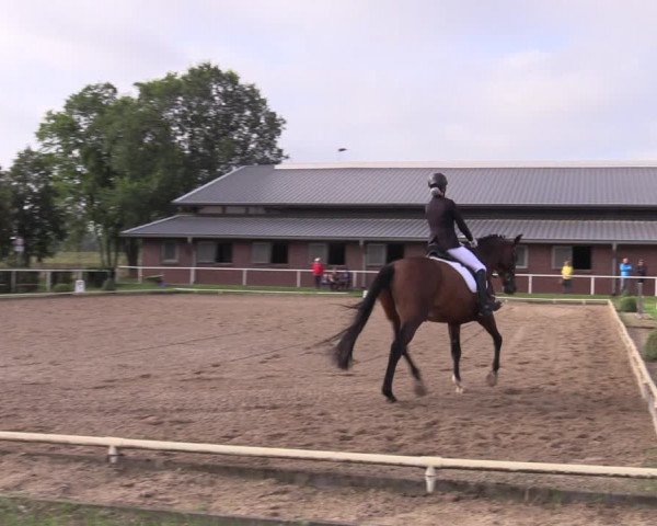 Reitturnier Münchehofe 2022