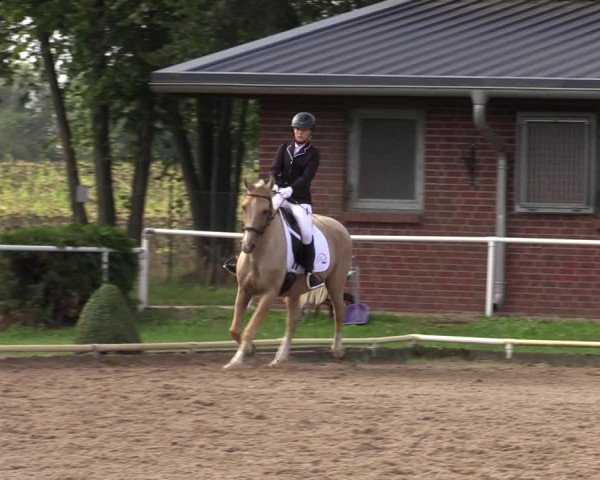 Reitturnier Münchehofe 2022