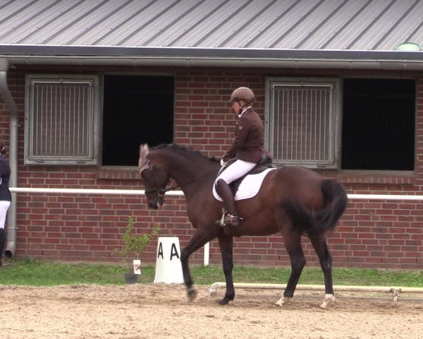 Reitturnier Münchehofe 2022
