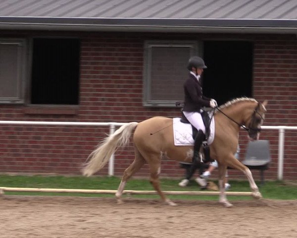 Reitturnier Münchehofe 2022
