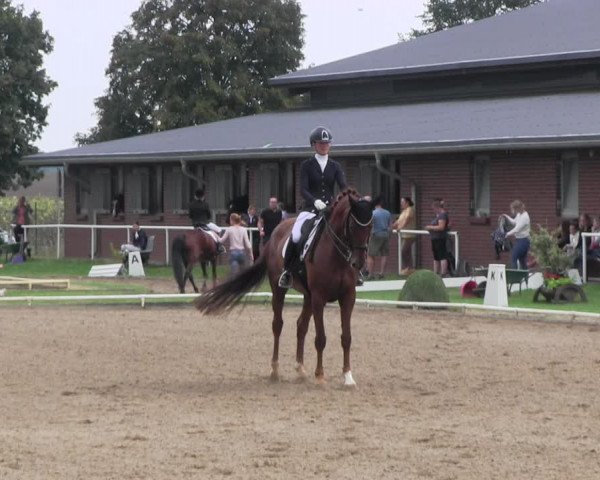 Reitturnier Münchehofe 2022