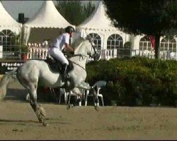 Stallone da monta Hemmelhorst Adam (KWPN (Warmblood olandese), 2005, di Guidam)