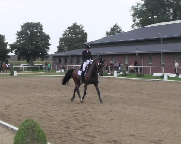 Reitturnier Münchehofe 2022