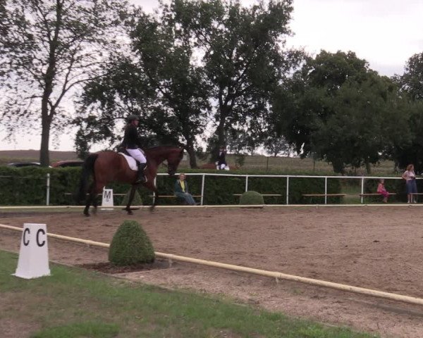 Reitturnier Münchehofe 2022