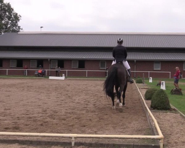 Reitturnier Münchehofe 2022