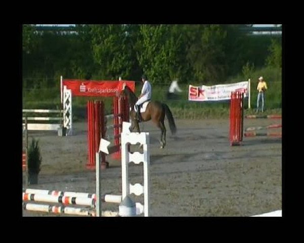 Springpferd Frederico M (Hannoveraner, 1993, von Forrest xx)