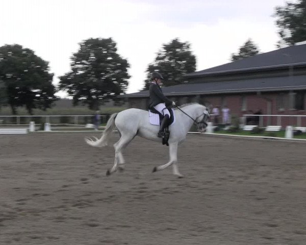 Reitturnier Münchehofe 2022