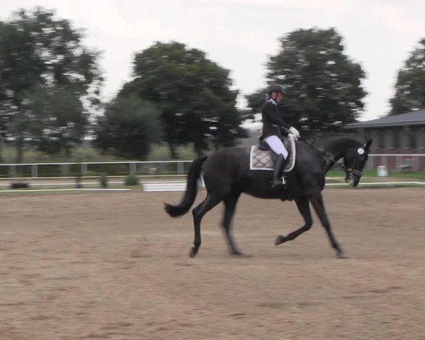 Reitturnier Münchehofe 2022