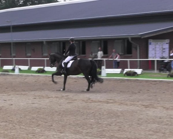 Reitturnier Münchehofe 2022