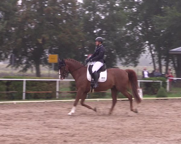Reitturnier Münchehofe 2022