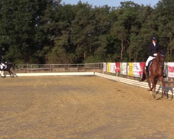 Reitturnier Ostbevern 2022