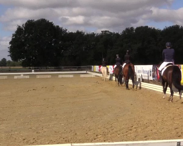 Reitturnier Ostbevern 2022