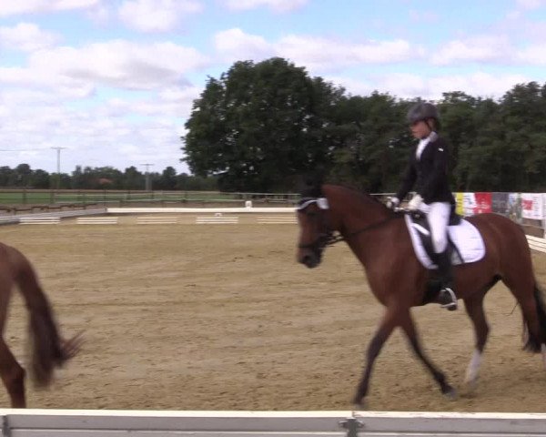 Reitturnier Ostbevern 2022