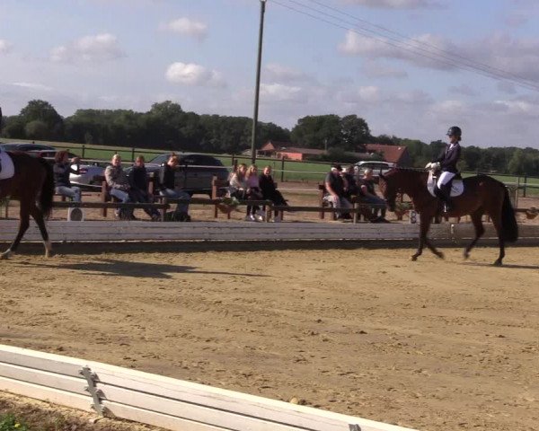 Reitturnier Ostbevern 2022