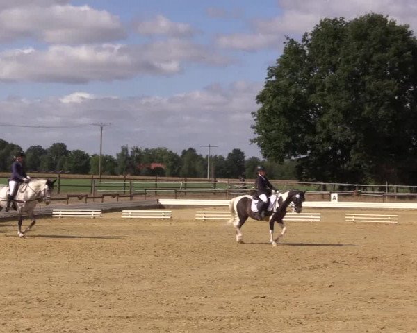 Reitturnier Ostbevern 2022