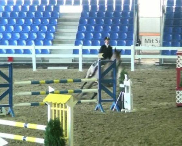 dressage horse Rasputin 510 (Hanoverian, 2000, from Rosentau)