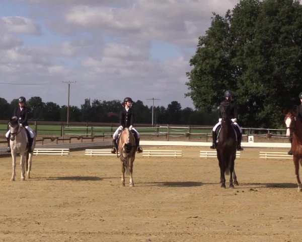 Reitturnier Ostbevern 2022