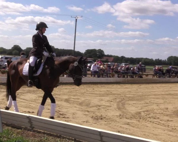 Reitturnier Ostbevern 2022