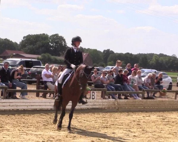 Reitturnier Ostbevern 2022