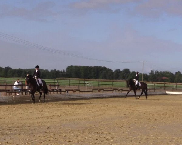Reitturnier Ostbevern 2022