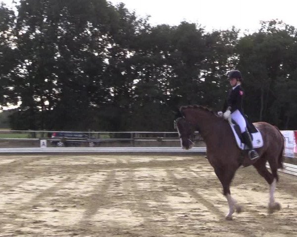 Reitturnier Ostbevern 2022