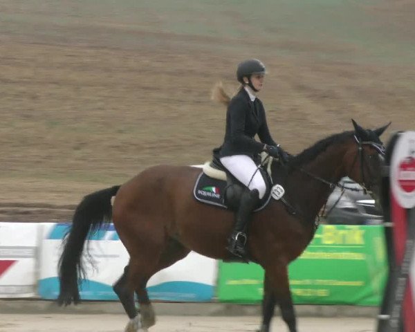 Reitturnier Duderstadt 2022