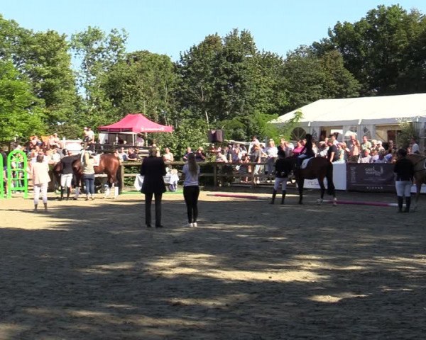 Reitturnier Solingen 2022