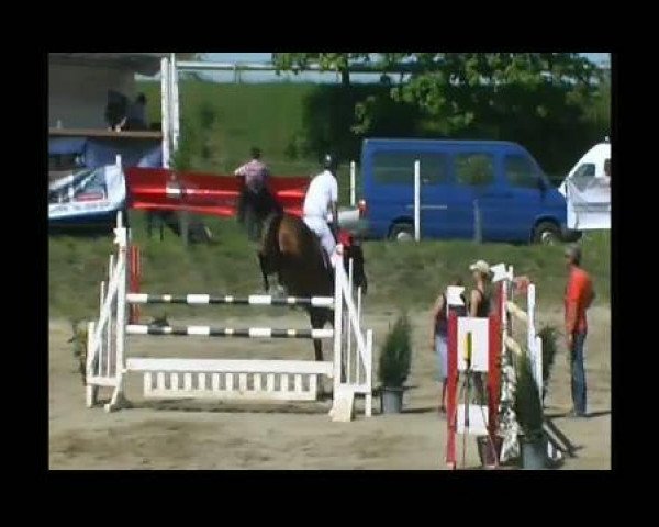 jumper PBM Coriano's Best FBW (Württemberger, 2004, from Coriano)
