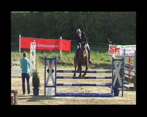 jumper Pandur GG (Westphalian, 2005, from Pilotdino)