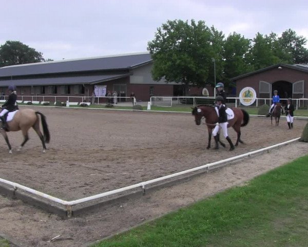 Reitturnier Münchehofe 2022
