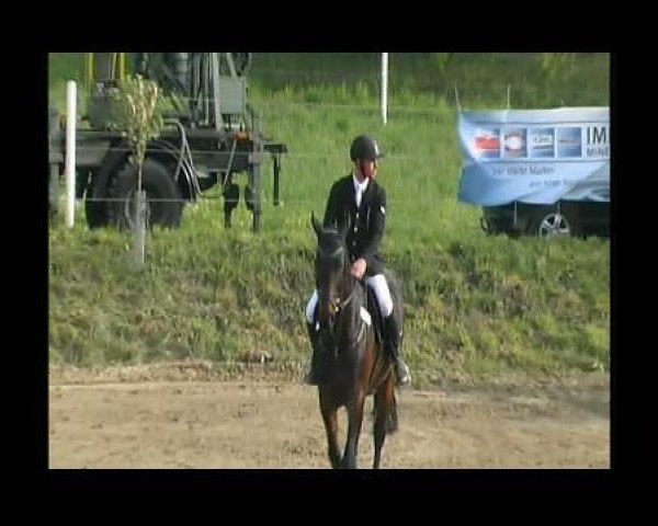 jumper Caspari 16 (Hanoverian, 2002, from Contendro I)