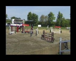 jumper Seneca 17 (Hungarian Warmblood, 1999, from Nikolaas van de Heemstede)