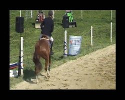 broodmare Infinity (Württemberger, 2006, from Indoctro)