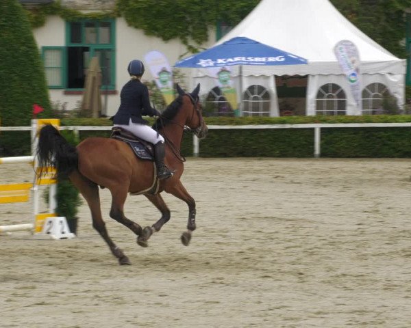 Reitturnier St.Wendel, Gestüt Welvert 2022