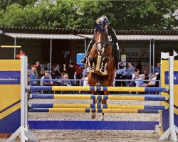 jumper El Amigo 7 (German Sport Horse, 2013, from Eldorado van de Zeshoek)